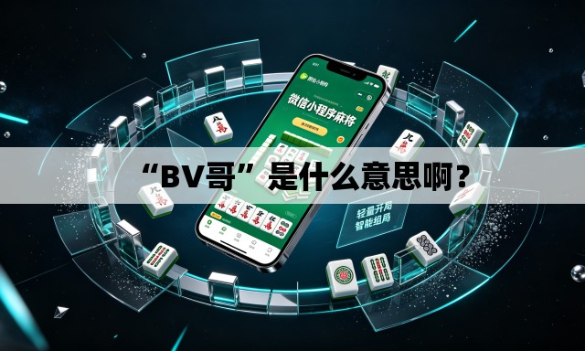 “BV哥	”是什么意思啊？