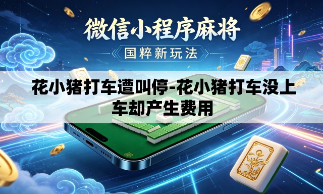  花小猪打车遭叫停-花小猪打车没上车却产生费用