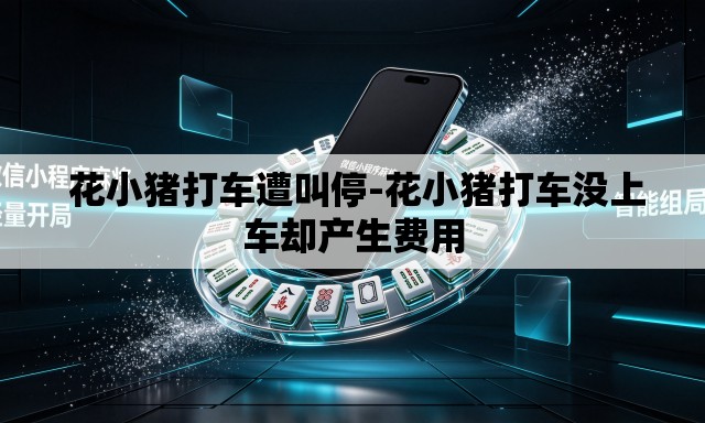  花小猪打车遭叫停-花小猪打车没上车却产生费用