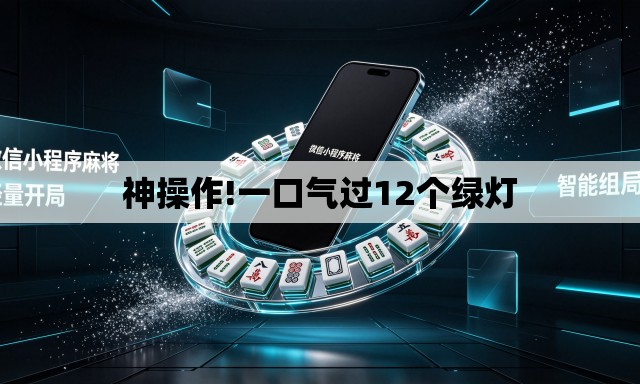 神操作!一口气过12个绿灯 神操作!一口气过12个绿灯