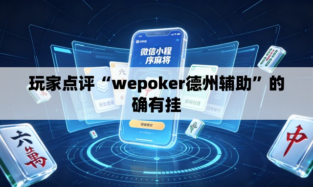 玩家点评“wepoker德州辅助”的确有挂