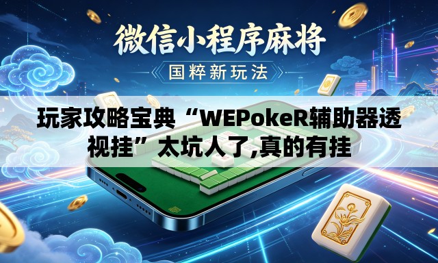 玩家攻略宝典“WEPokeR辅助器透视挂”太坑人了,真的有挂