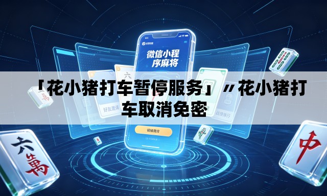「花小猪打车暂停服务」〃花小猪打车取消免密
