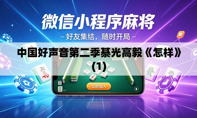 中国好声音第二季綦光高毅《怎样》(1)