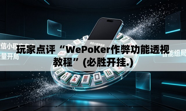 玩家点评“WePoKer作弊功能透视教程	”(必胜开挂.)