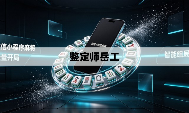 鉴定师岳工