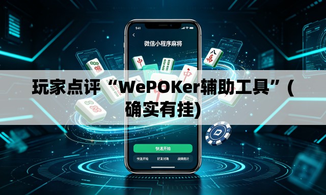 玩家点评“WePOKer辅助工具”(确实有挂)