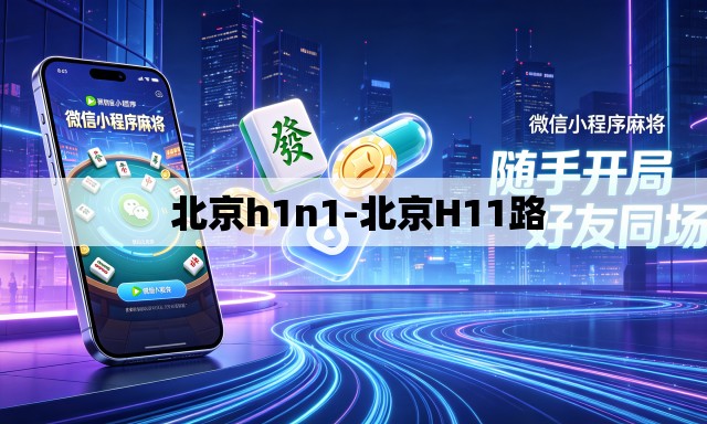  北京h1n1-北京H11路