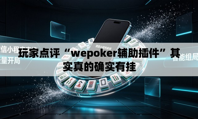 玩家点评“wepoker辅助插件”其实真的确实有挂