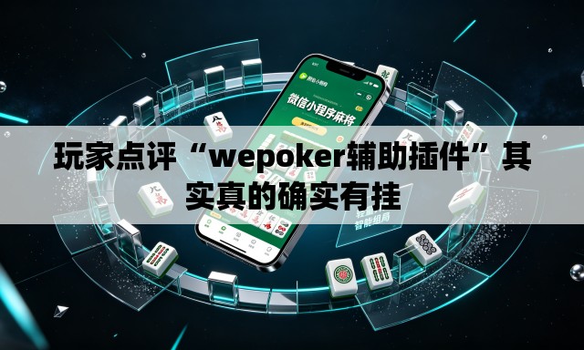 玩家点评“wepoker辅助插件	”其实真的确实有挂