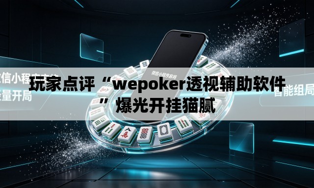 玩家点评“wepoker透视辅助软件”爆光开挂猫腻