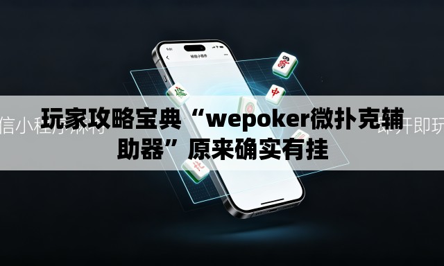 玩家攻略宝典“wepoker微扑克辅助器”原来确实有挂