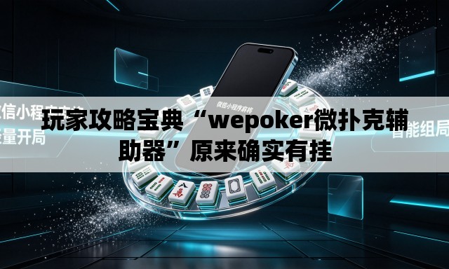 玩家攻略宝典“wepoker微扑克辅助器	”原来确实有挂