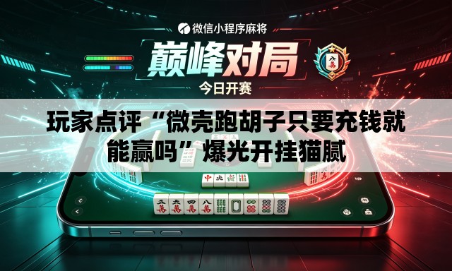 玩家点评“微壳跑胡子只要充钱就能赢吗”爆光开挂猫腻