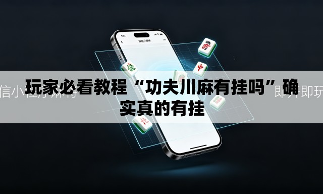 玩家必看教程“功夫川麻有挂吗”确实真的有挂
