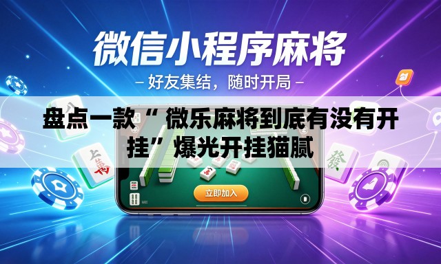 盘点一款“ 微乐麻将到底有没有开挂”爆光开挂猫腻
