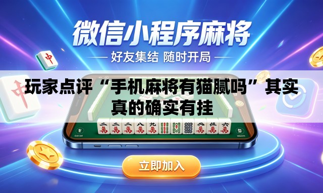 玩家点评“手机麻将有猫腻吗”其实真的确实有挂