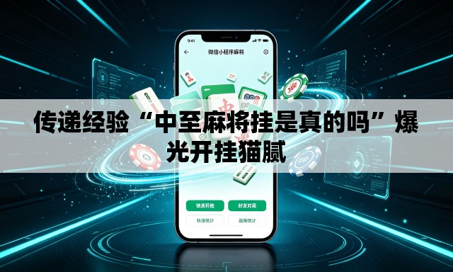 传递经验“中至麻将挂是真的吗	”爆光开挂猫腻